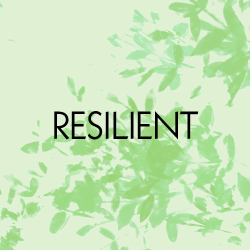 VIBE RESILIENT (COCONUT LIME)