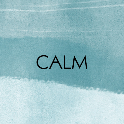 VIBE CALM (LEMONGRASS EUCALYPTUS)
